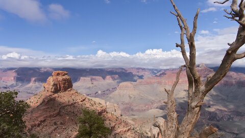 USA oct nov 2018, _1220220 raw  Vue depuis Cedar Ridge Point  1853m   South Rim  Grand Canyon