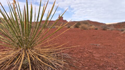 USA oct nov 2018, _1220387 raw Valley of the God