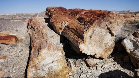 USA oct nov 2018, _1220558 retouche Crystal Forest  PN Petrified Forest
