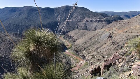USA oct nov 2018, _1220581 raw Salt River  Canyon