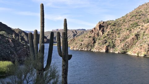 USA oct nov 2018, _1220672 raw Apache Lake  Apache Trail