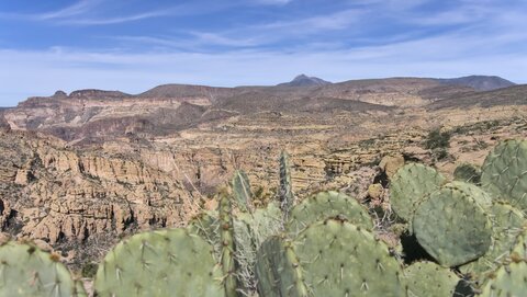 USA oct nov 2018, _1220738 Apache Trail
