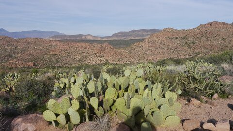 USA oct nov 2018, _1220800 retouche First Water Trail  Apache Trail