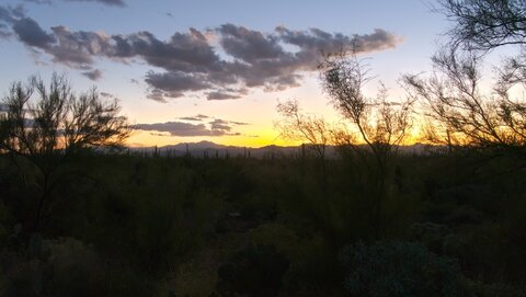 USA oct nov 2018, _1230074 raw PN Saguaro Ouest