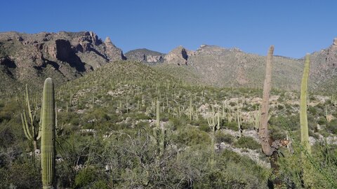 USA oct nov 2018, _1230112 Fingers Rock  nord de Tucson