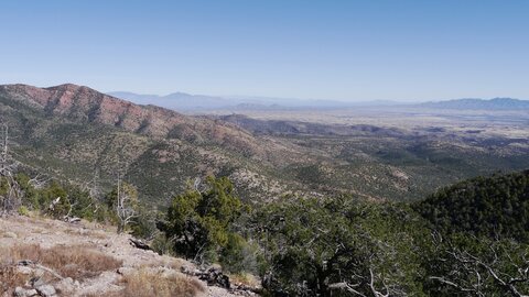 USA oct nov 2018, _1230290 retouche En montée vers le Mt Whrightson