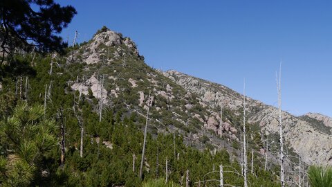 USA oct nov 2018, _1230292 En montée vers le Mt Whrightson