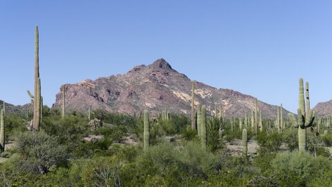 USA oct nov 2018, _1230464 raw Pinkley Peak  959m   Organ Pipe Cactus NM