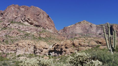 USA oct nov 2018, _1230598 retouche Ajo Mountain Trail  Organ Pipe Cactus NM