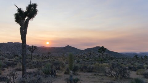USA oct nov 2018, _1230927 raw  Crépuscule  depuis début du Boyscout Trail  PN Joshua Tree