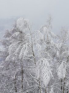 Val d'Azun  - 02-2019, IMG_20190202_160304