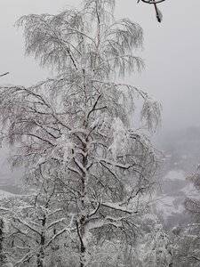 Val d'Azun  - 02-2019, IMG_20190202_160319