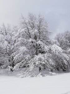Val d'Azun  - 02-2019, IMG_20190202_163426
