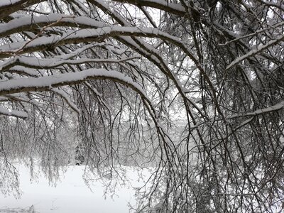 Val d'Azun  - 02-2019, IMG_20190202_164012