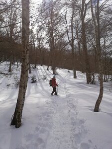 Val d'Azun  - 02-2019, IMG_20190203_120914