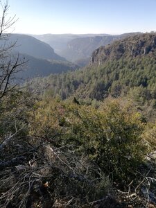 Cévennes fin 2018, IMG_20181229_122931