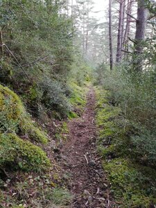 Cévennes fin 2018, IMG_20181229_134937