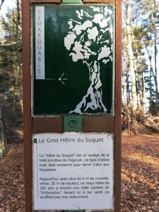 Cévennes fin 2018, IMG_20181230_113039