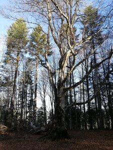 Cévennes fin 2018, IMG_20181230_113119