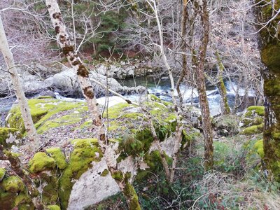 Cévennes fin 2018, IMG_20181230_150647