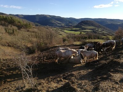 Cévennes fin 2018, IMG_20181231_155511