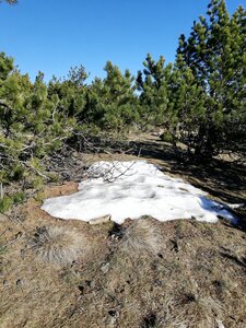 Cévennes fin 2018, IMG_20190101_144547