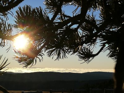 Cévennes fin 2018, IMG_20190101_164310
