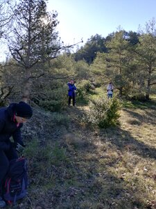 Cévennes fin 2018, IMG_20190102_132831