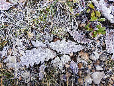 Cévennes fin 2018, IMG_20190102_142225