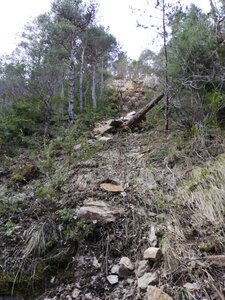 Cévennes fin 2018, IMG_20190102_150808