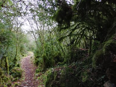 Cévennes fin 2018, IMG_20190102_152535
