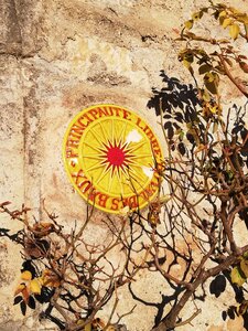 Cévennes fin 2018, IMG_20190102_160821