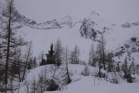 2019-01-27-02-01-passo-tonale, passo-tonale-cantiere-alpes-aventure-2019-01-28-07