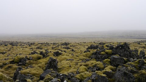 Islande, juin 20108, _1200068 Proche de Grindavik