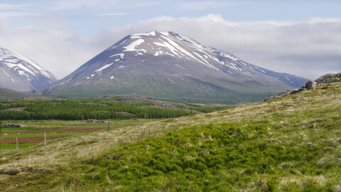 Islande, juin 20108, _1200497 retouche Près de Lagarfljot