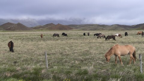 Islande, juin 20108, _1200990 raw Proche de Svinavatn