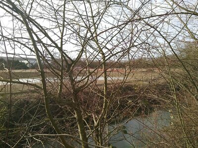 Urbanisation, IMG_20190209_150256