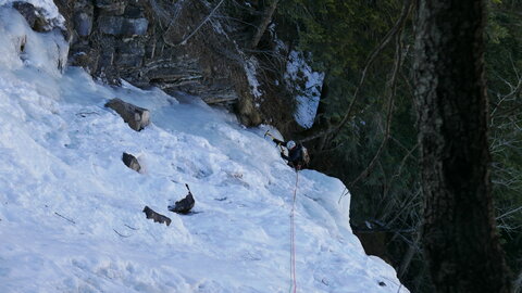 Les Tourengs, P1150877
