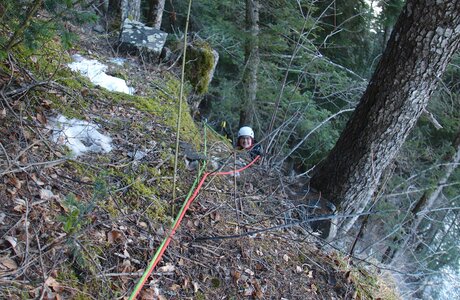 Les Tourengs, P1150867c