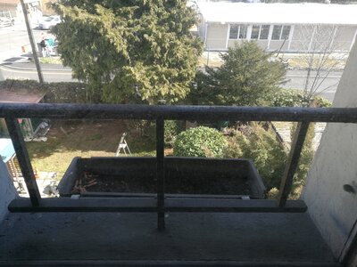 2544, Photo  98 
