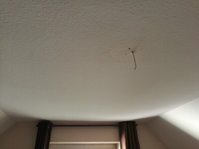 2544, Photo  95 