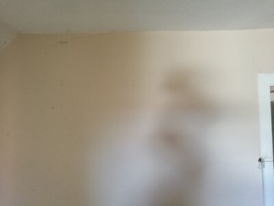 2544, Photo  93 