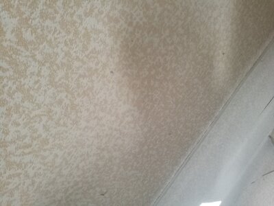 2544, Photo  90 