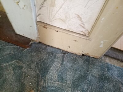 2544, Photo  86 
