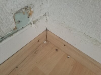 2544, Photo  79 