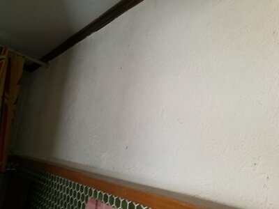 2544, Photo  69 