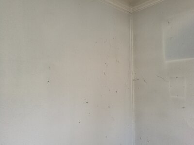 2544, Photo  64 