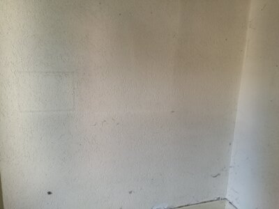 2544, Photo  59 