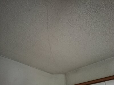 2544, Photo  50 