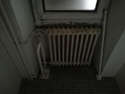 2544, Photo  48 